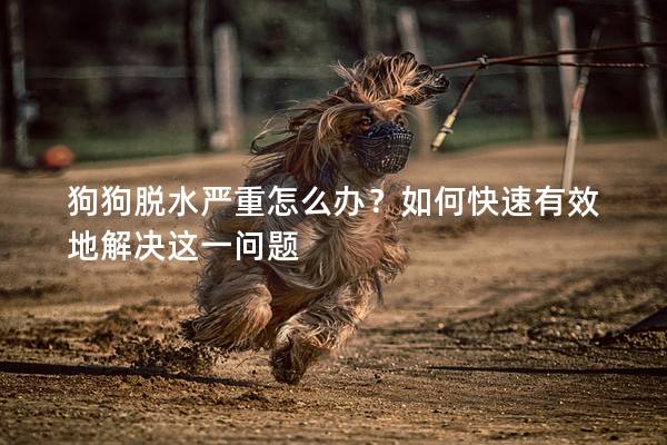 狗狗脫水嚴(yán)重怎么辦？如何快速有效地解決這一問題