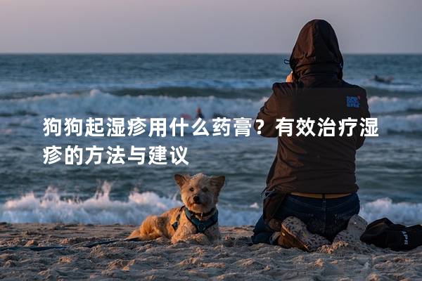 狗狗起濕疹用什么藥膏？有效治療濕疹的方法與建議