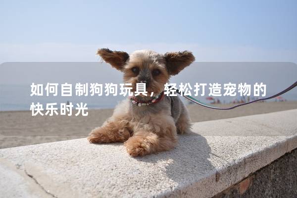如何自制狗狗玩具，輕松打造寵物的快樂時光