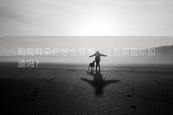 狗狗耳朵紅怎么回事，這些原因你知道嗎？