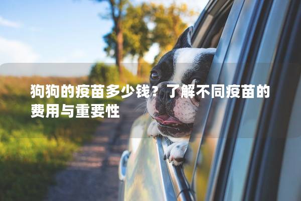 狗狗的疫苗多少錢？了解不同疫苗的費(fèi)用與重要性