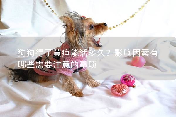 狗狗得了黃疸能活多久？影響因素有哪些需要注意的事項