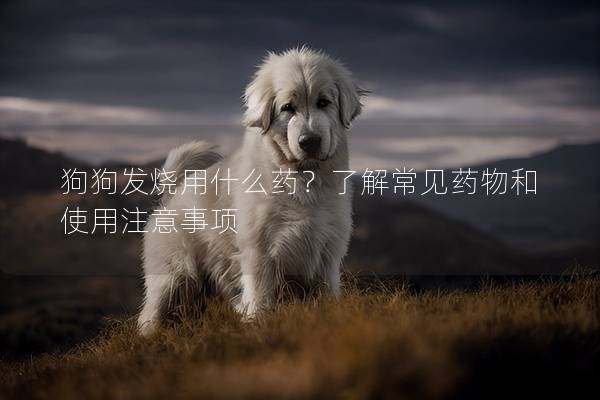 狗狗發(fā)燒用什么藥？了解常見藥物和使用注意事項