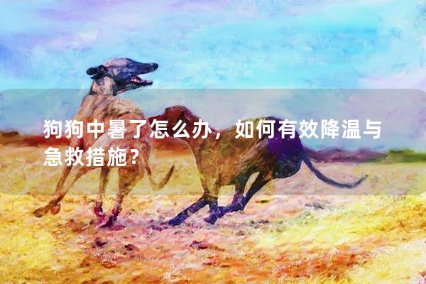 狗狗中暑了怎么辦，如何有效降溫與急救措施？