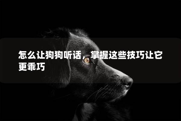 怎么讓狗狗聽話，掌握這些技巧讓它更乖巧