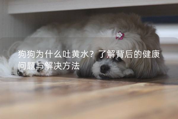 狗狗為什么吐黃水?了解背后的健康問題與解決方法 狗狗為什么吐黃水?了解背后的健康問題與解決方法
