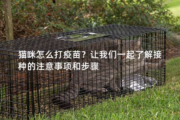 貓咪怎么打疫苗？讓我們一起了解接種的注意事項和步驟
