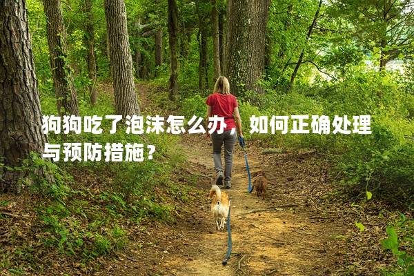 狗狗吃了泡沫怎么辦，如何正確處理與預(yù)防措施？