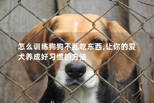 怎么訓(xùn)練狗狗不亂吃東西,讓你的愛犬養(yǎng)成好習(xí)慣的方法