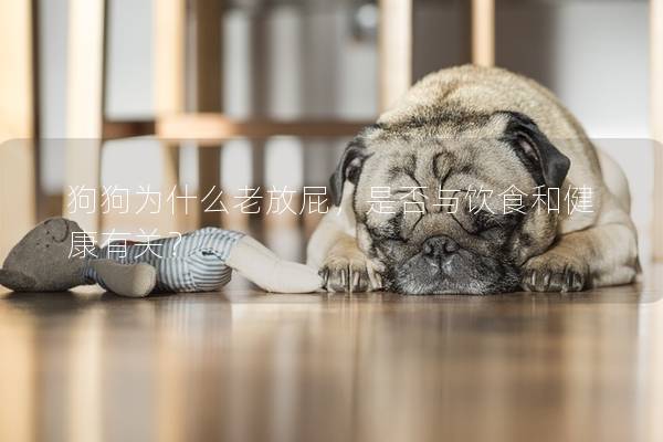 狗狗為什么老放屁，是否與飲食和健康有關？