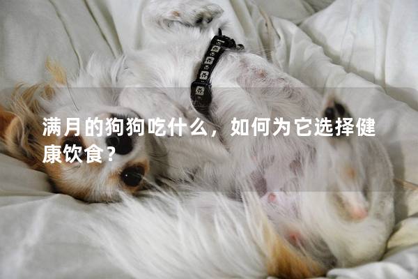 滿月的狗狗吃什么,如何為它選擇健康飲食? 滿月的狗狗吃什么,如何為它選擇健康飲食?