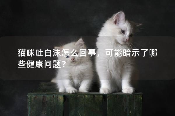 貓咪吐白沫怎么回事,可能暗示了哪些健康問題? 貓咪吐白沫怎么回事,可能暗示了哪些健康問題?