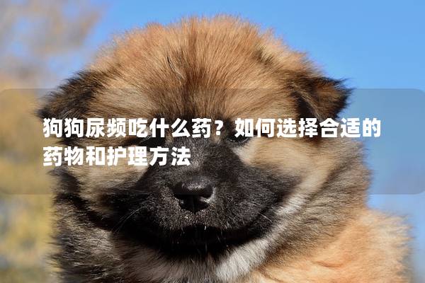 狗狗尿頻吃什么藥？如何選擇合適的藥物和護理方法