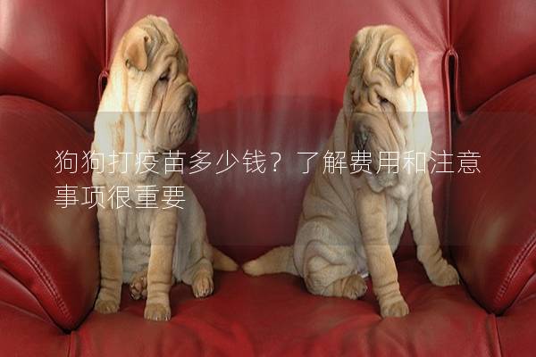 狗狗打疫苗多少錢？了解費用和注意事項很重要