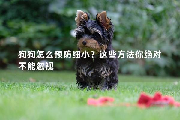 狗狗怎么預防細小？這些方法你絕對不能忽視