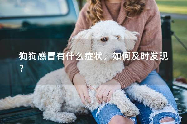 狗狗感冒有什么癥狀，如何及時發現？