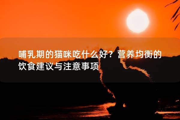 哺乳期的貓咪吃什么好？營養均衡的飲食建議與注意事項