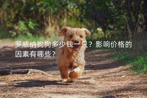 羅威納狗狗多少錢一只？影響價格的因素有哪些？