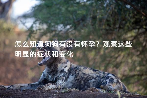 怎么知道狗狗有沒有懷孕？觀察這些明顯的癥狀和變化