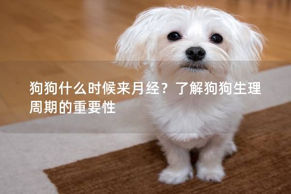 狗狗什么時候來月經？了解狗狗生理周期的重要性