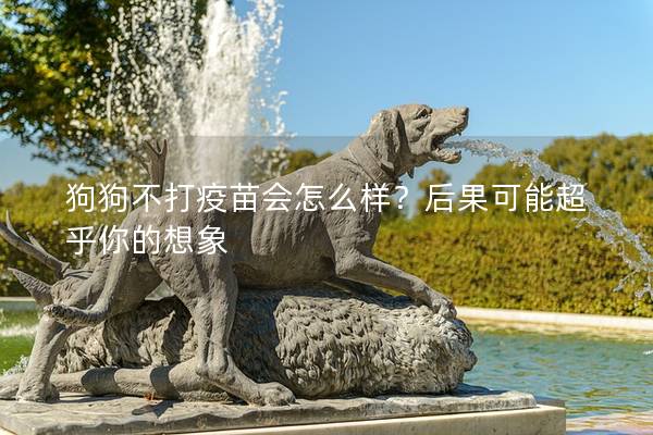 狗狗不打疫苗會怎么樣？后果可能超乎你的想象