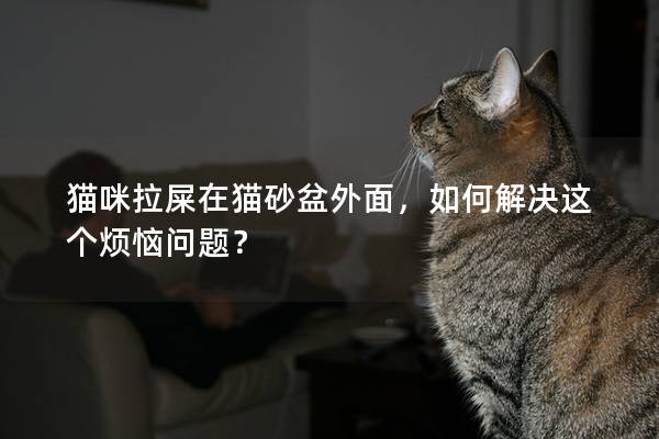 貓咪拉屎在貓砂盆外面，如何解決這個煩惱問題？