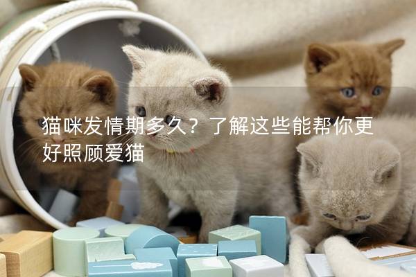 貓咪發情期多久？了解這些能幫你更好照顧愛貓