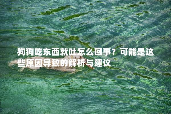 狗狗吃東西就吐怎么回事？可能是這些原因導致的解析與建議