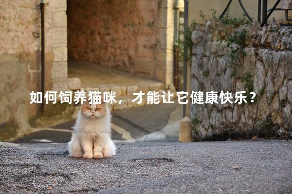 如何飼養貓咪,才能讓它健康快樂? 如何飼養貓咪,才能讓它健康快樂?