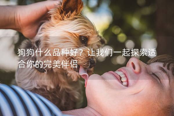 狗狗什么品種好？讓我們一起探索適合你的完美伴侶