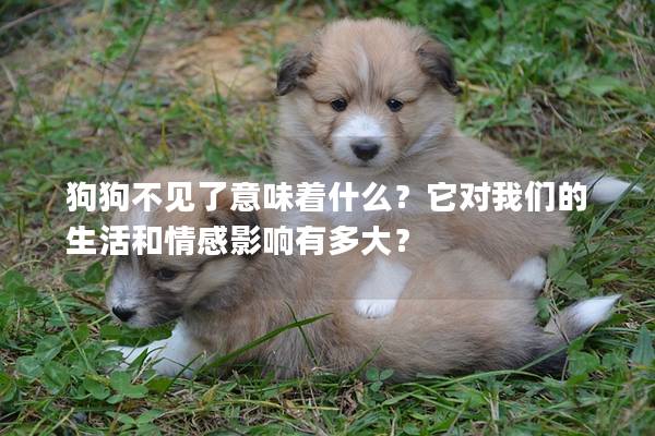 狗狗不見了意味著什么？它對我們的生活和情感影響有多大？