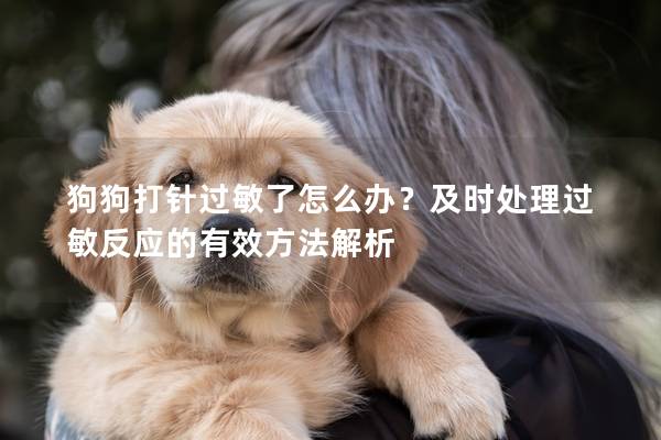 狗狗打針過敏了怎么辦？及時處理過敏反應的有效方法解析