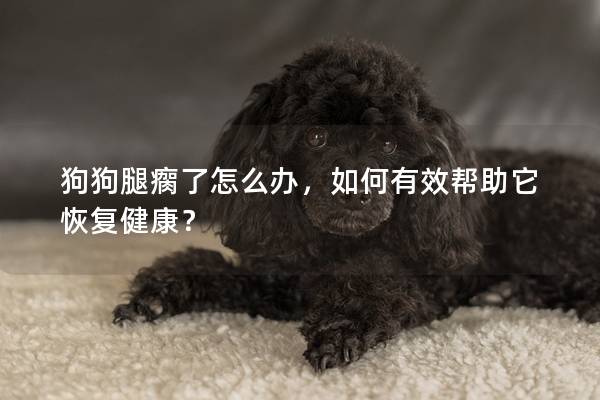 狗狗腿瘸了怎么辦，如何有效幫助它恢復(fù)健康？