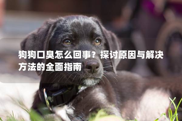 狗狗口臭怎么回事？探討原因與解決方法的全面指南