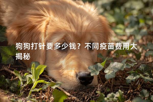 狗狗打針要多少錢？不同疫苗費(fèi)用大揭秘