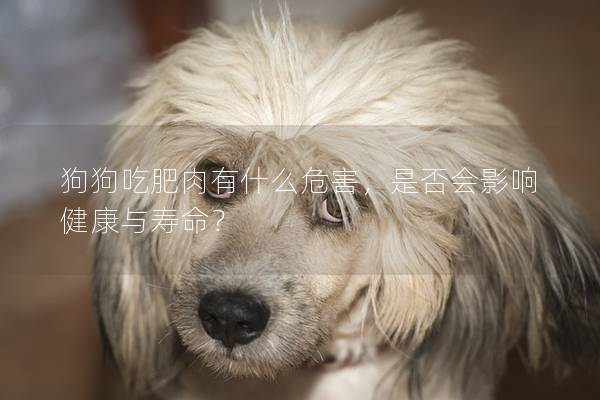 狗狗吃肥肉有什么危害，是否會(huì)影響健康與壽命？