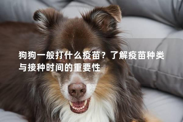 狗狗一般打什么疫苗？了解疫苗種類與接種時間的重要性