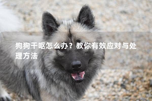 狗狗干嘔怎么辦？教你有效應(yīng)對(duì)與處理方法