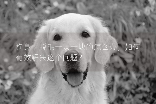 狗身上脫毛一塊一塊的怎么辦,如何有效解決這個問題? 狗身上脫毛一塊一塊的怎么辦,如何有效解決這個問題?