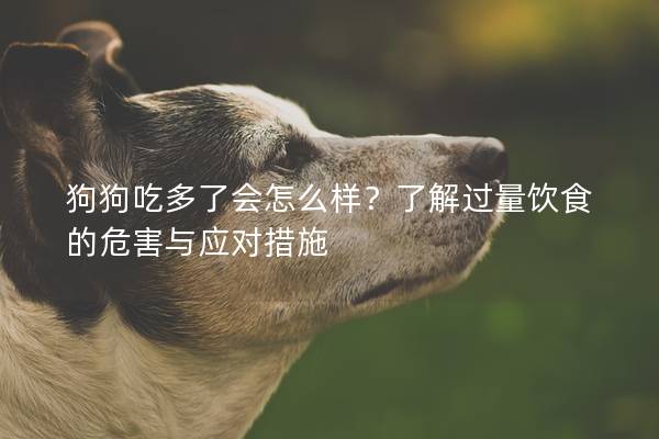 狗狗吃多了會怎么樣？了解過量飲食的危害與應對措施