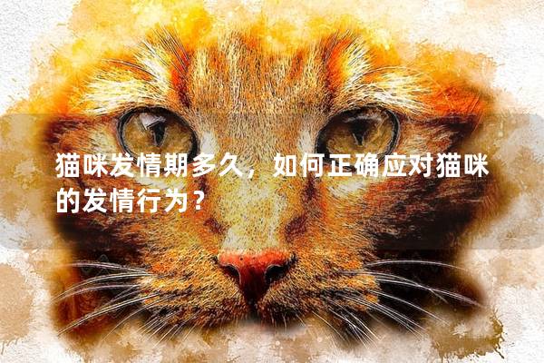 貓咪發情期多久，如何正確應對貓咪的發情行為？