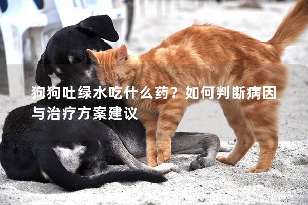 狗狗吐綠水吃什么藥？如何判斷病因與治療方案建議