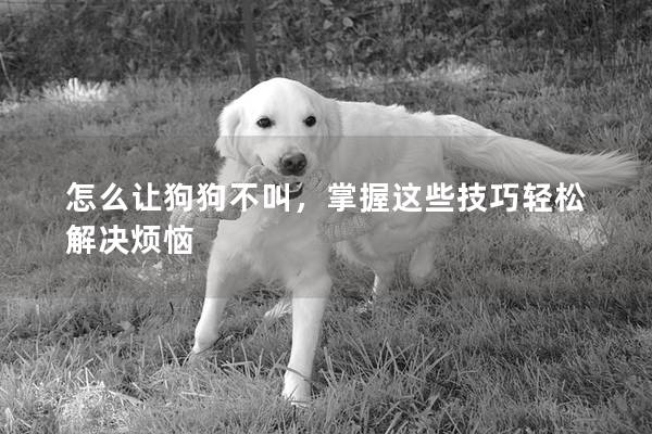 怎么讓狗狗不叫,掌握這些技巧輕松解決煩惱 怎么讓狗狗不叫,掌握這些技巧輕松解決煩惱