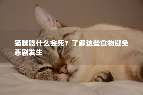 貓咪吃什么會(huì)死？了解這些食物避免悲劇發(fā)生