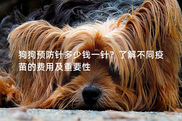 狗狗預防針多少錢一針？了解不同疫苗的費用及重要性