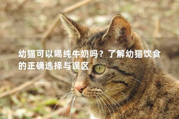 幼貓可以喝純牛奶嗎？了解幼貓飲食的正確選擇與誤區