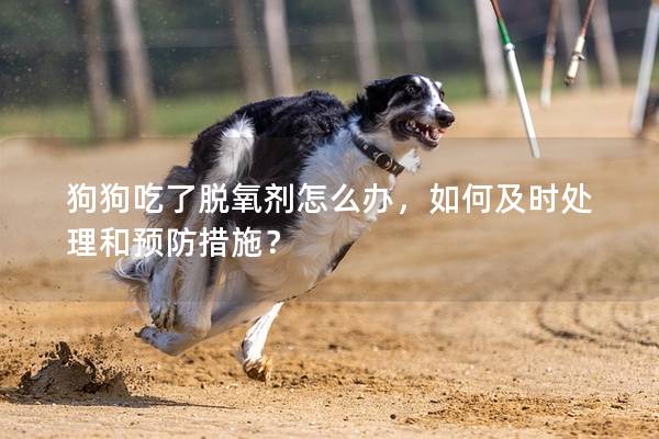 狗狗吃了脫氧劑怎么辦，如何及時處理和預防措施？