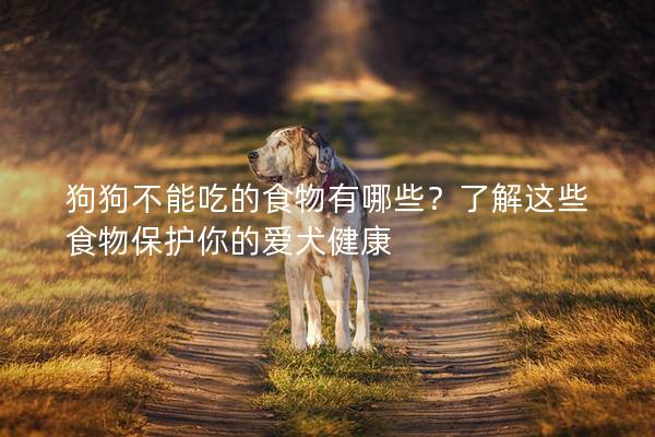 狗狗不能吃的食物有哪些？了解這些食物保護你的愛犬健康
