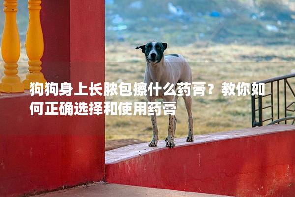 狗狗身上長膿包擦什么藥膏？教你如何正確選擇和使用藥膏