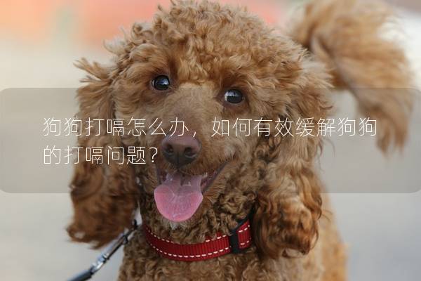 狗狗打嗝怎么辦,如何有效緩解狗狗的打嗝問題? 狗狗打嗝怎么辦,如何有效緩解狗狗的打嗝問題?